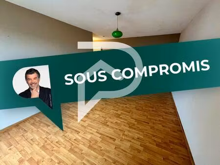 stephane plaza immobilier colmar -sud