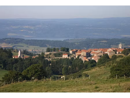 vente locaux professionnels 528 m² à pradelles (43420)  185 900 €