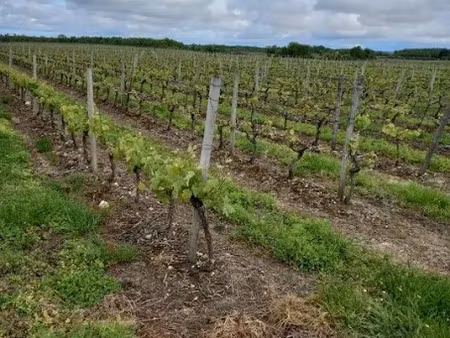 vente locaux professionnels 65000 m² à ordonnac (33340)  157 525 €