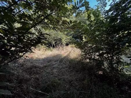 terrain constructible à vendre