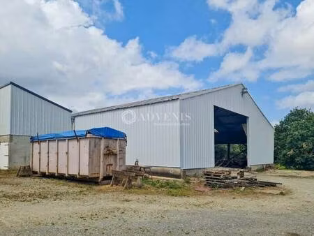 local d'activités à louer