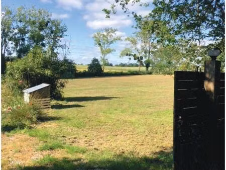 safti cornu emmanuel conseiller indépendant