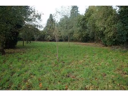 terrain constructible à vendre
