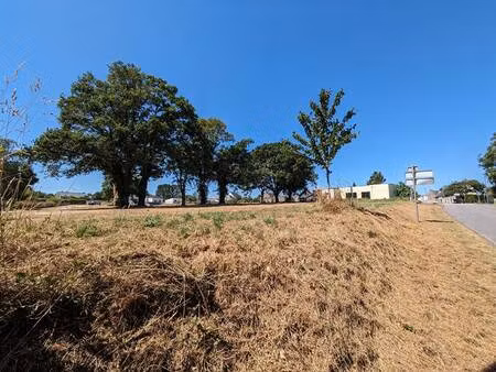 terrain constructible viabilisé à vendre