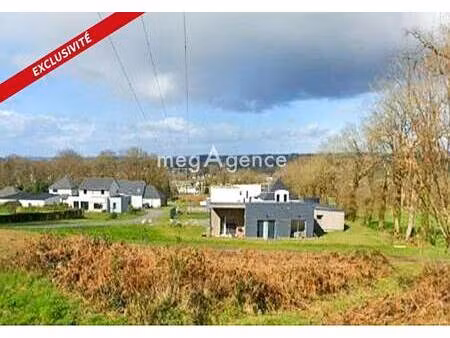 virginie dangel consultant megagence