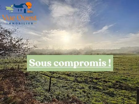 vue ouest immobilier