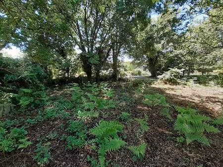 vente terrain à brech (56400) : à vendre / 3170m² brech