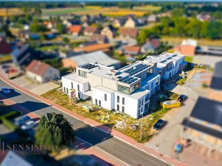 appartement à vendre à peer € 331.215 (le2ca) | zimmo