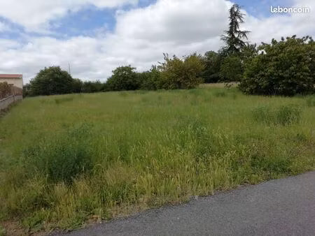 terrain constructible