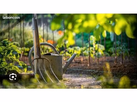 potager individuel ?poules ?mouton?