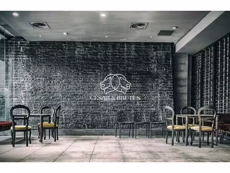 fonds de commerce caluire et cuire 180 m2