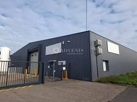 local d'activite a louer