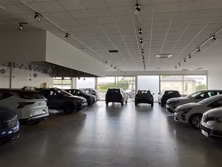 local commercial a louer