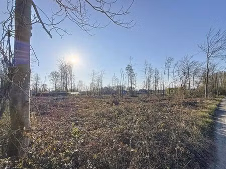 terrain en vente à rue bois de l'haminde lot 1  florennes  belgique | century 21®