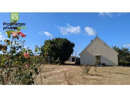 maison en viager occupé.st nicolas de bourgueil