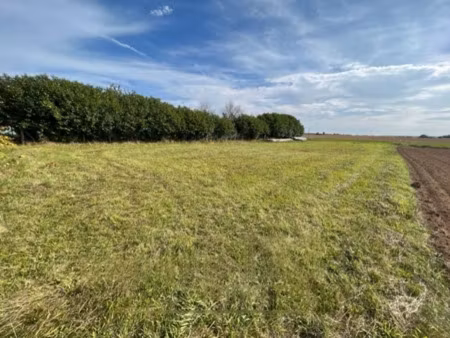 achat terrain 1 317m² beaumont 89250