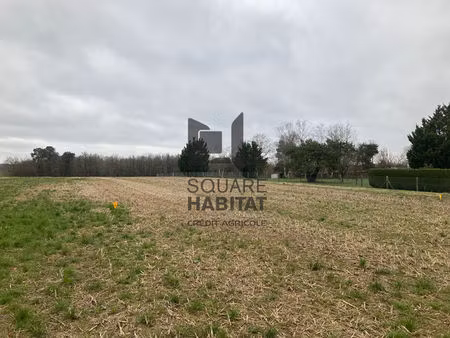 achat terrain 1 251m²