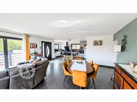 villelongue-dels-monts - splendide villa avec piscine avec grands garages idéal artisan