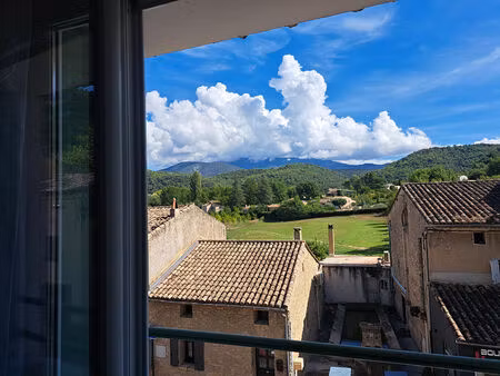 immeuble comprenant 2 appartements et garage