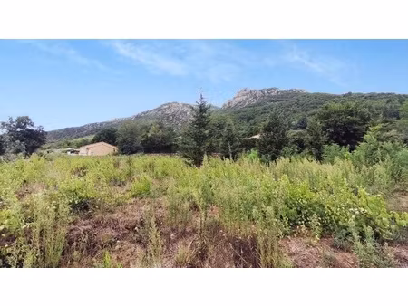 terrain - 1130 m²