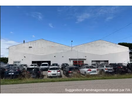 location commerce 900 m² à chanas (38150)