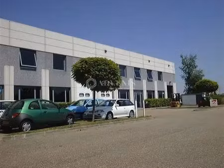 local d'activités a louer