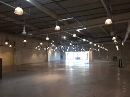 local commercial a louer