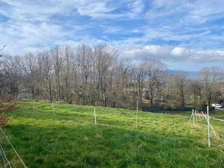 vente terrain 1628 m² pont-de-larn (81660)