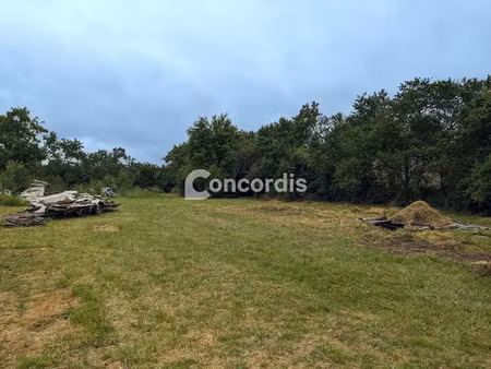 vente terrain à batir 1514 m² à harville (55160)  44 000 €