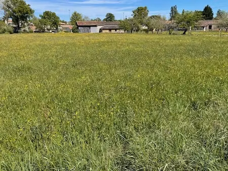 vente terrain 1135 m² à villeréal (47210)  42 455 €