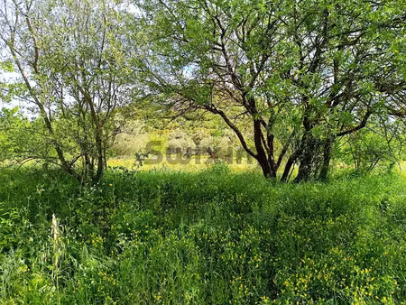 vente terrain 3970 m² à saint-bonnet-du-gard (30210)  17 000 €