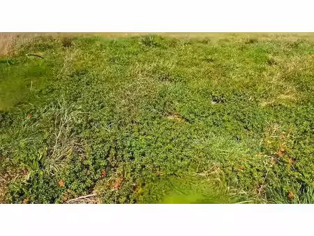 vente terrain 774 m² à la ville-dieu-du-temple (82290)  61 000 €