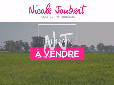vente terrain 1054 m² à beaulieu-sur-layon (49750)  76 890 €