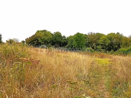 vente terrain 2729 m² à sainte-genevieve (60730)  54 900 €