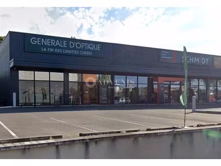 local commercial a louer