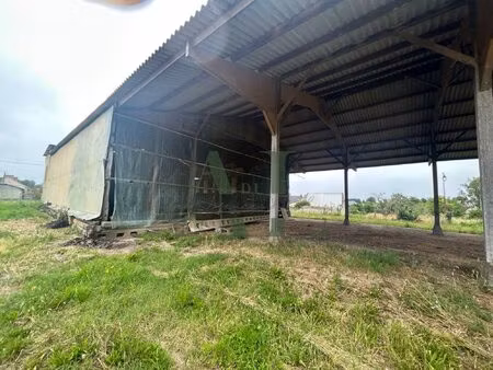 en exclusivité ! hangar