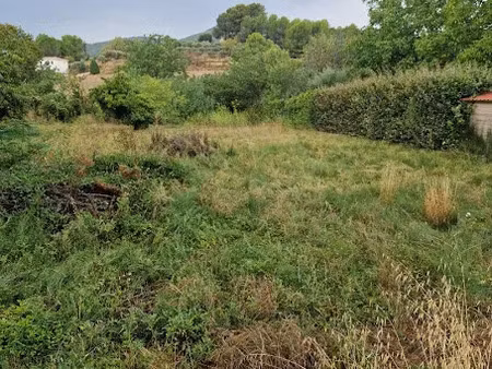 vente terrain 723 m² à saint-zacharie (83640)  245 000 €