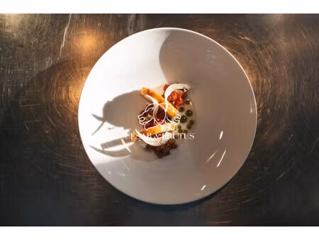 fonds de commerce lyon 50 m2