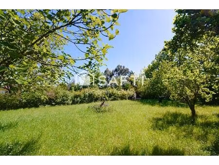 terrain à bâtir à lasserre-pradère