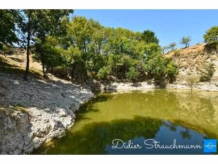 vente maison viager à surgères (17700) : à vendre viager / 216m² surgères