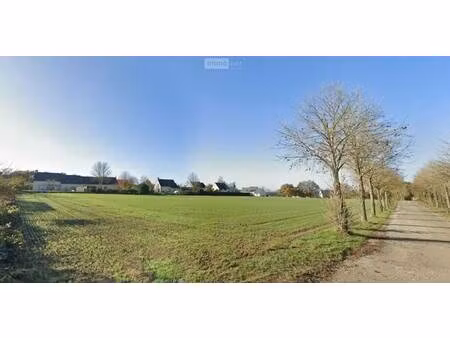 terrain constructible viabilisé à vendre