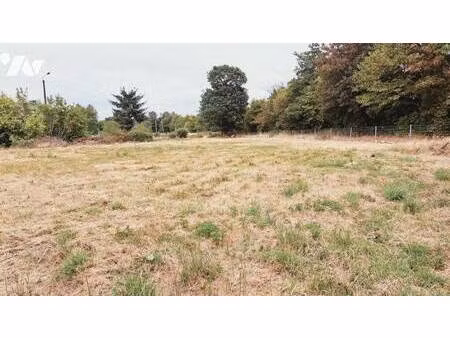 terrain constructible viabilisé à vendre