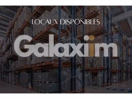 galaxiim