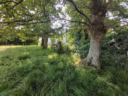 terrain constructible viabilisé à vendre