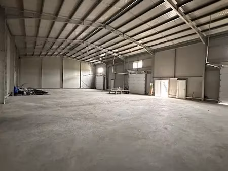 location locaux professionnels 470 m² à grisolles (82170)  3 600 €