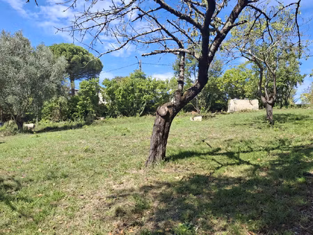 nouveaute a pechabou-terrain à bâtir de 1227 m2