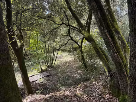 terrain à bâtir à vendre 799 00 m² cendras (30)proche d'ales