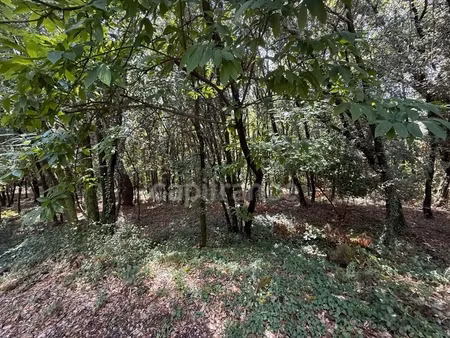 terrain à bâtir à vendre 799 00 m² cendras (30)