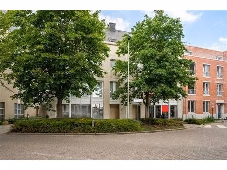 commerce - rez-de-chausée