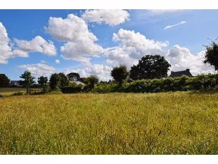 vente terrain constructible 790 m²   plat et viabilisé  saint-quay-perros (22700)